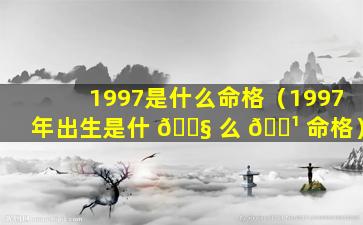 1997是什么命格（1997年出生是什 🐧 么 🌹 命格）